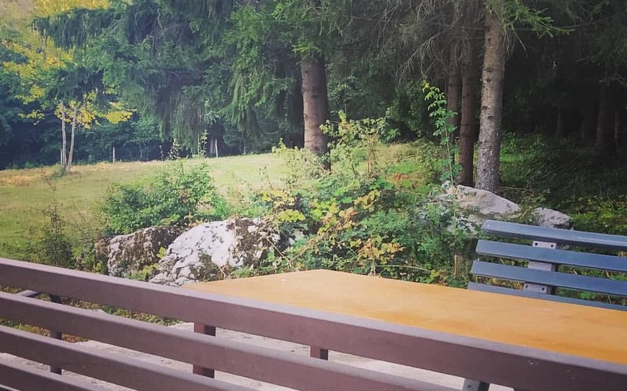Drvena terasa doma s pogledom na šumu
